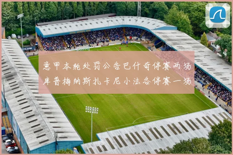 意甲本轮处罚公告巴什奇停赛两场库普梅纳斯扎卡尼小法各停赛一场