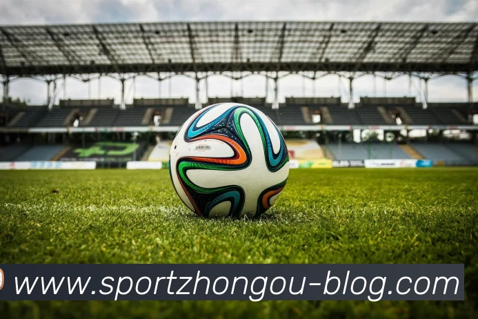 中欧体育品牌故事