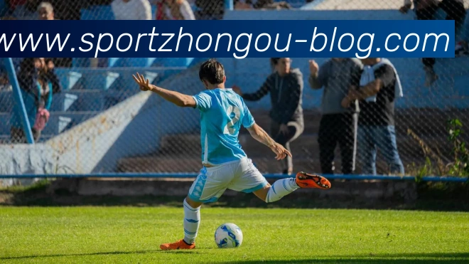 中欧体育服务体系